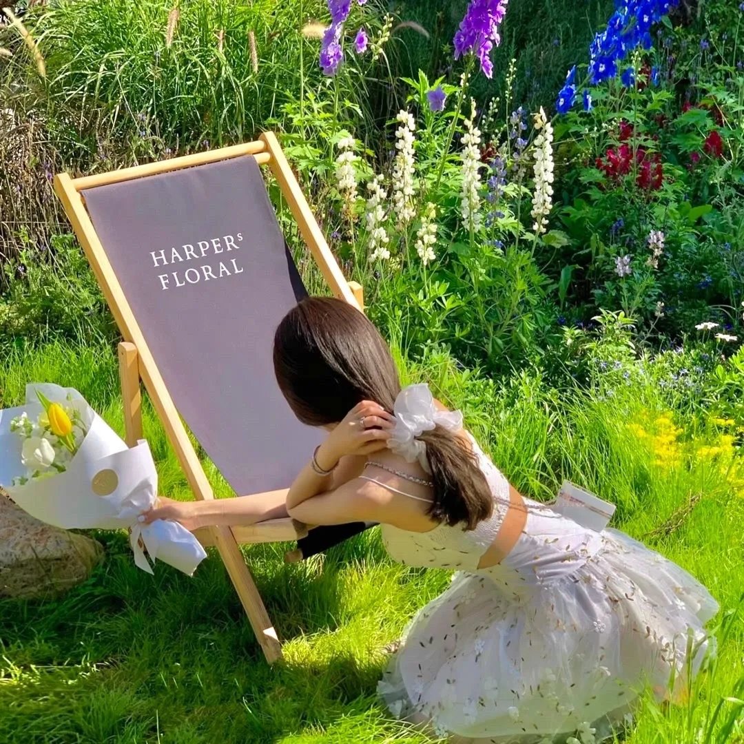 爱尼斯·格林的故事